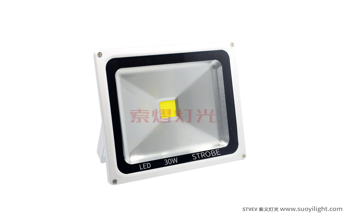 Kuala-Lumpur30W LED Strobe Light quotation