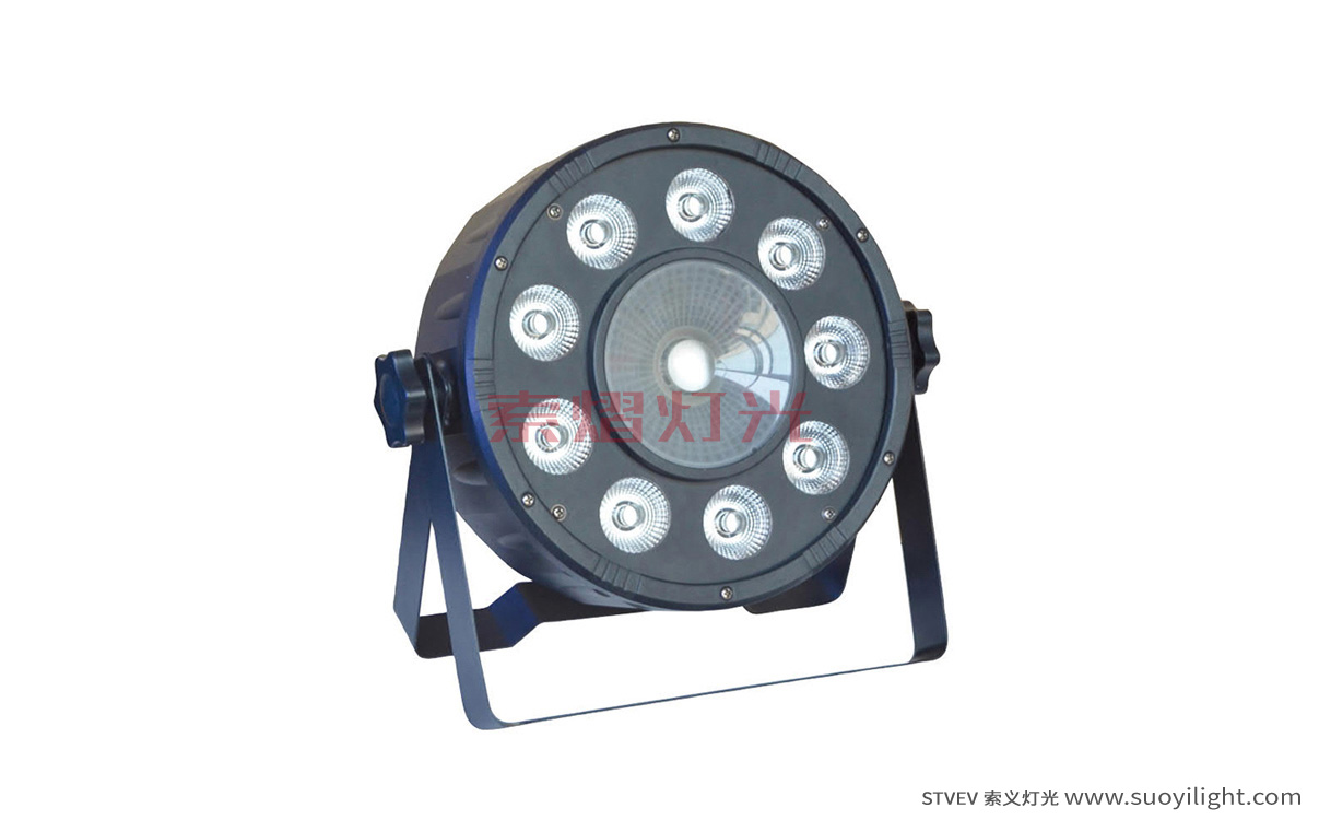 Kuala-Lumpur9+1 LED Plastic Par Light production