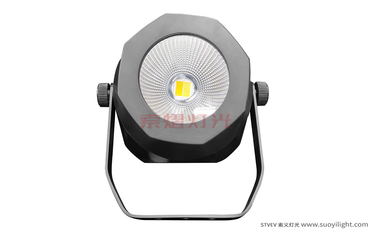 Kuala-Lumpur200W Waterproof COB Par Light